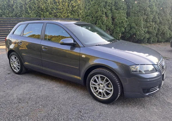 śląskie Audi A3 cena 19900 przebieg: 190000, rok produkcji 2005 z Myszków